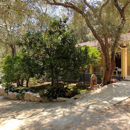 Villa Eleni - Studios Liapades Luaran gambar