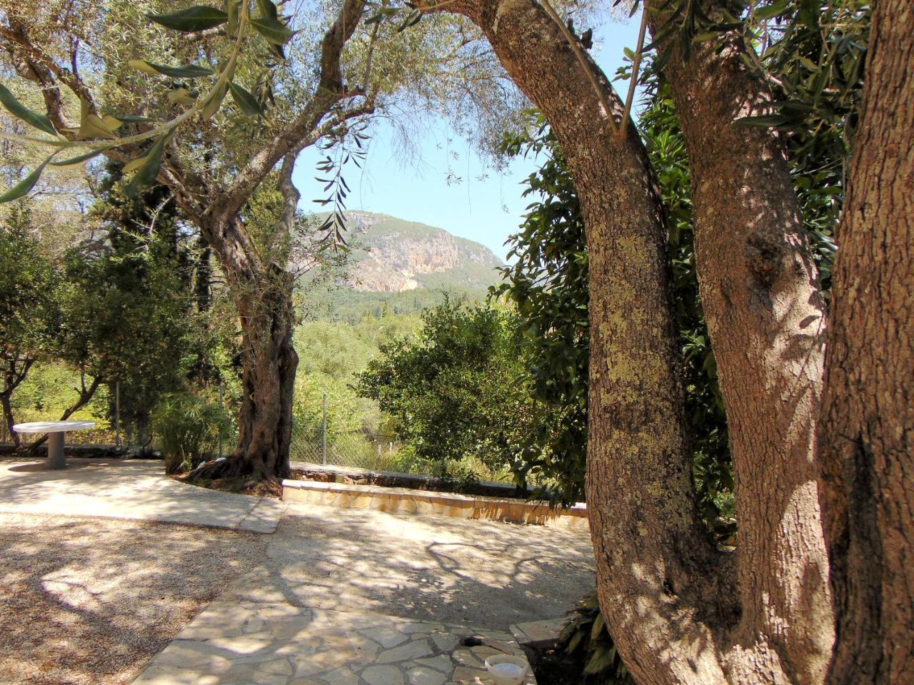 Villa Eleni - Studios Liapades Luaran gambar