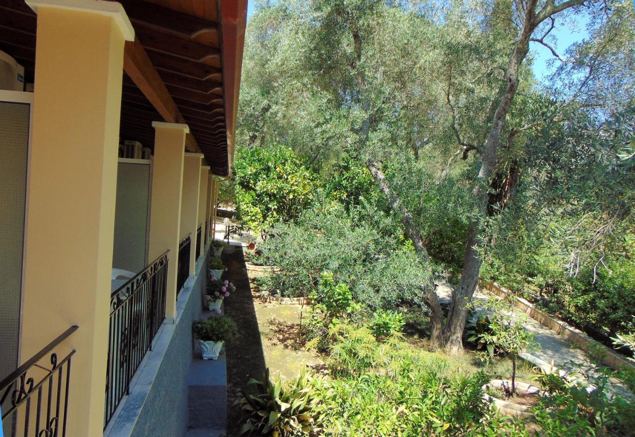 Villa Eleni - Studios Liapades Luaran gambar
